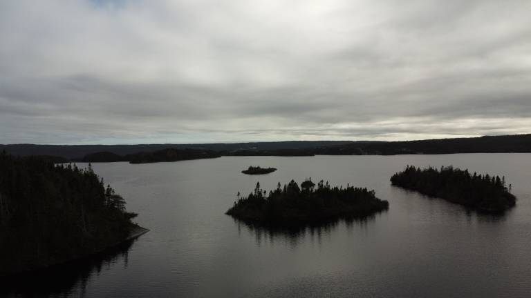 Cabin Cape Broyle