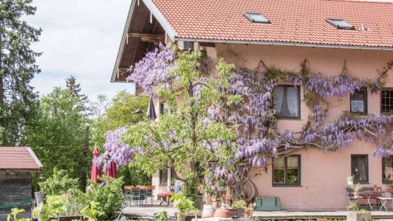 Ferienwohnung  Simssee