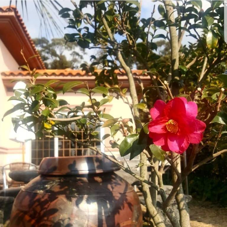 foto20