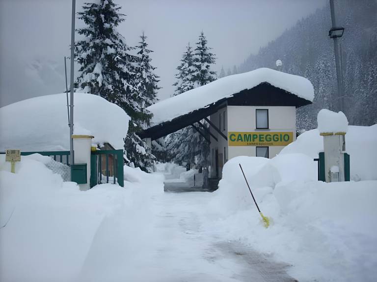 Lovely serviced apartment with yard & patio | Ski nearby | Pet-friendly in Campodolcino