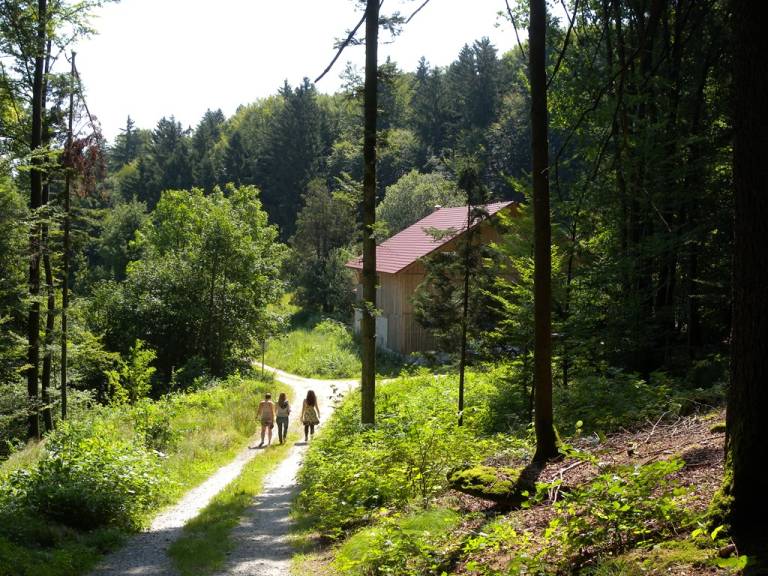 foto14