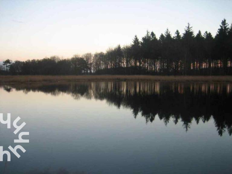 foto42