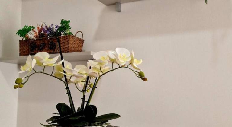 Apartment with 3 rooms for 7 persons — photo 3