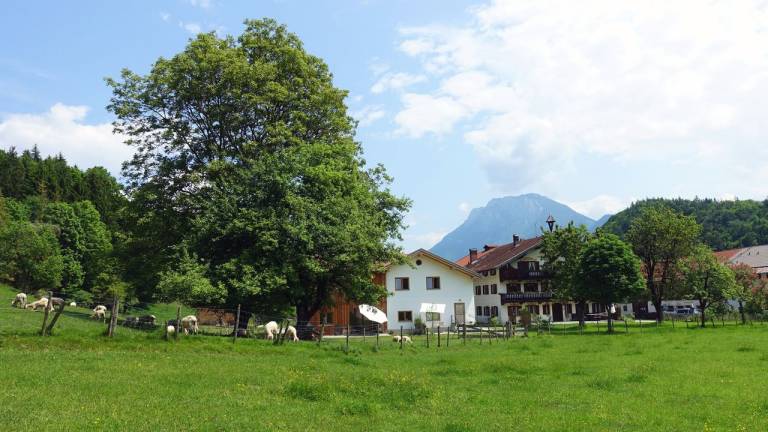 Ferienwohnung Kiefersfelden