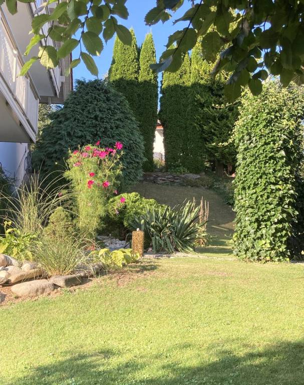 foto14