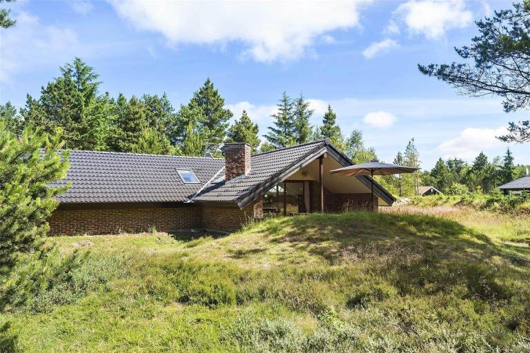 Ferienhaus mit Hund in Ho für max. 6 Gäste