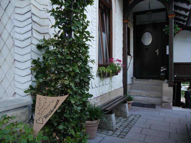foto15