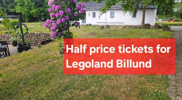 House | Pets allowed in Kolding