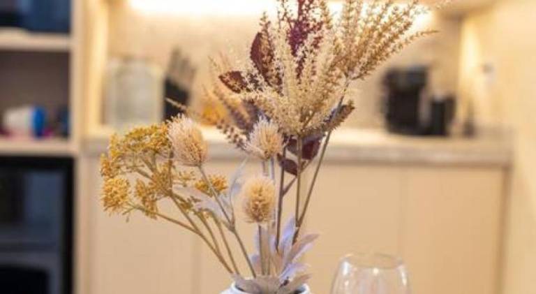 50 m&sup2; Ferienwohnung