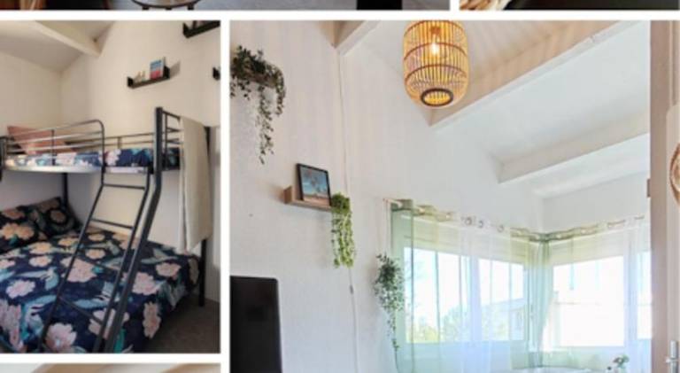 Beautiful holiday apartment | Next to the beach | Pets allowed — photo 2