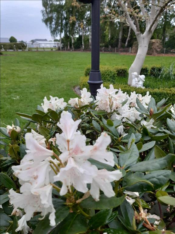 foto21