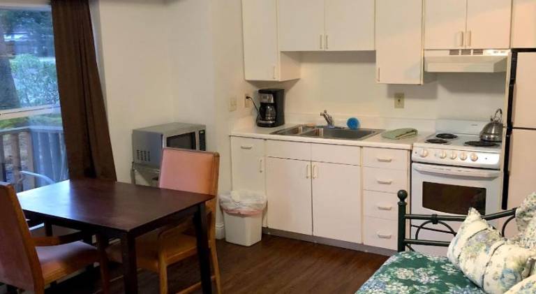 Grandma's Suite - PRIVATE APARTMENT REDUCED PRICE ON TOURS — photo 4
