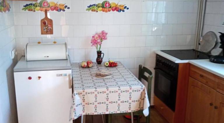 Rental apartment with yard & patio | Dogs allowed — photo 3