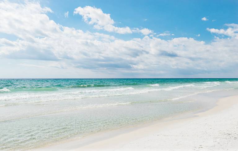 Seas the Day on 30A — photo 4