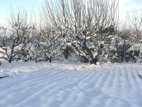 Bed & Breakfast  Voghera