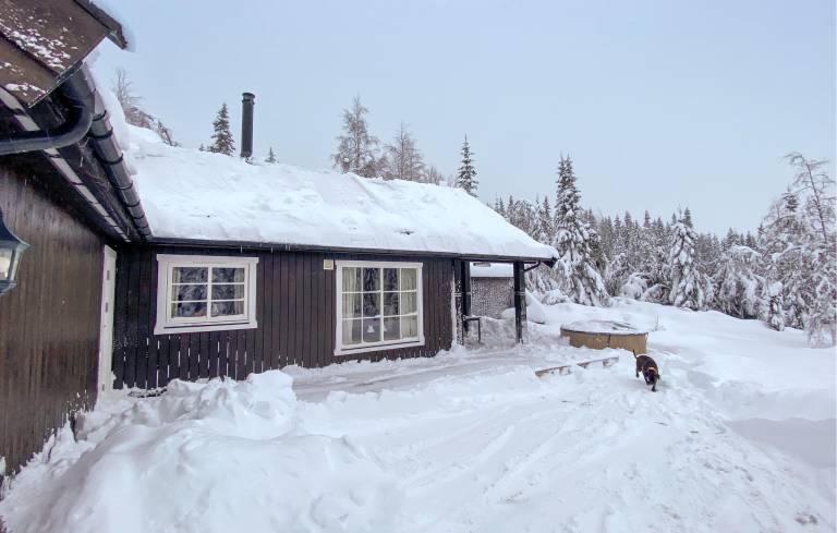 Dom Trysil