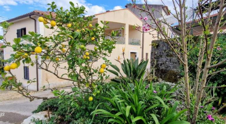 Casa DE Amigos — photo 4