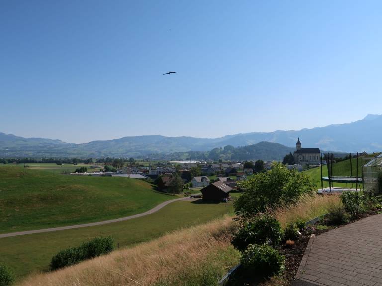 foto13
