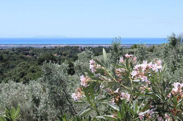 Boerderij Cecina