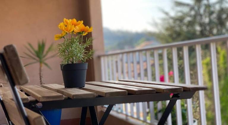 Apartamento Padrón