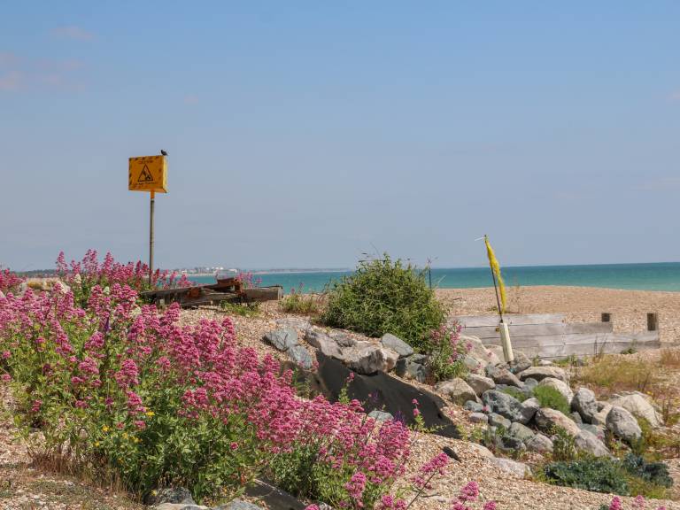 foto3