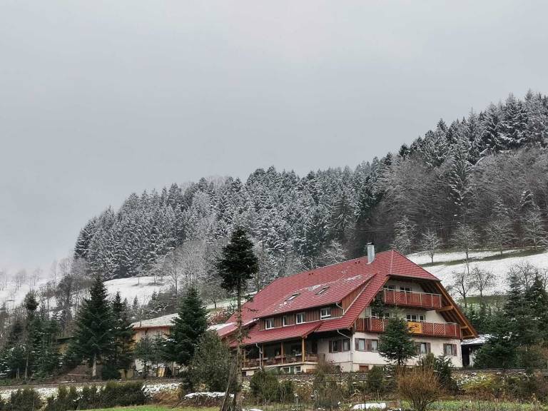 Ferienwohnung Oppenau