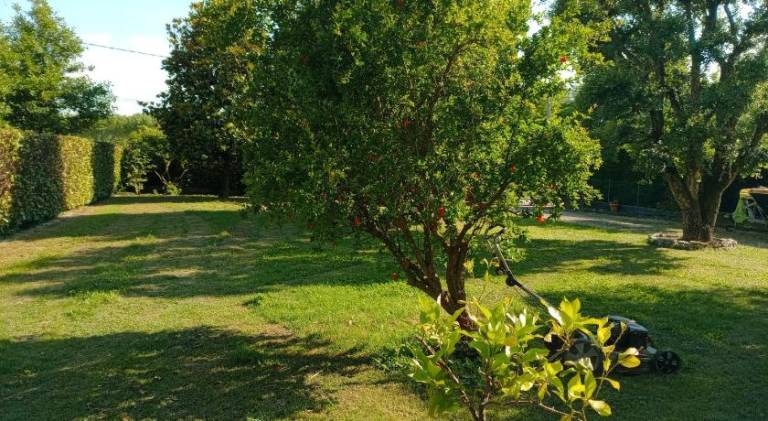 foto49