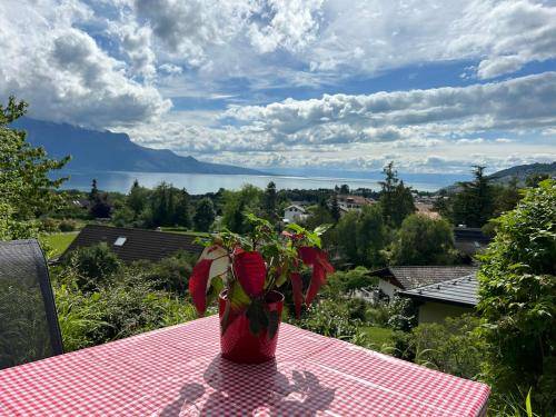 Appartement Vevey