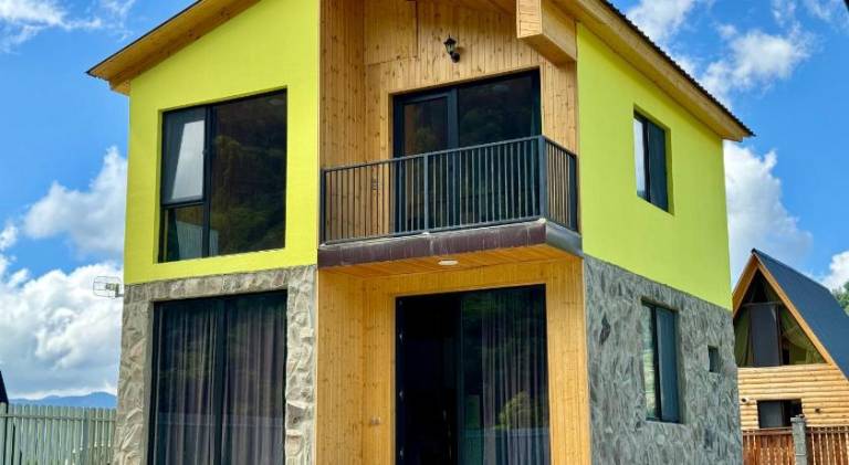 Wonderful villa | Dogs allowed in Borjomi