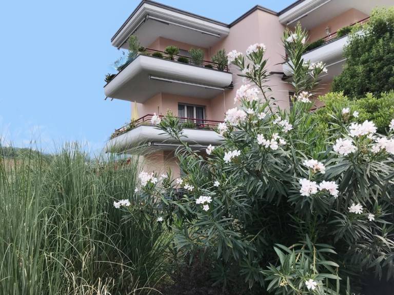 Sonnige 3 5 Zi Ferienwohnung in Caslano