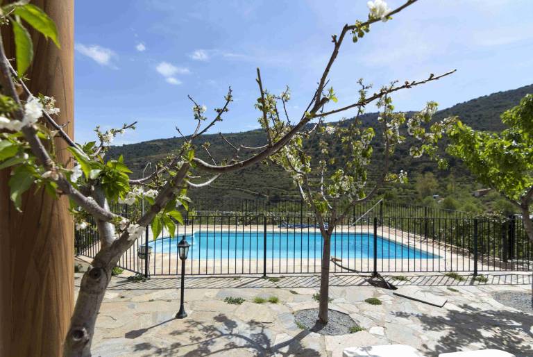 House with terrace, pool & fast internet | Garden view — photo 2