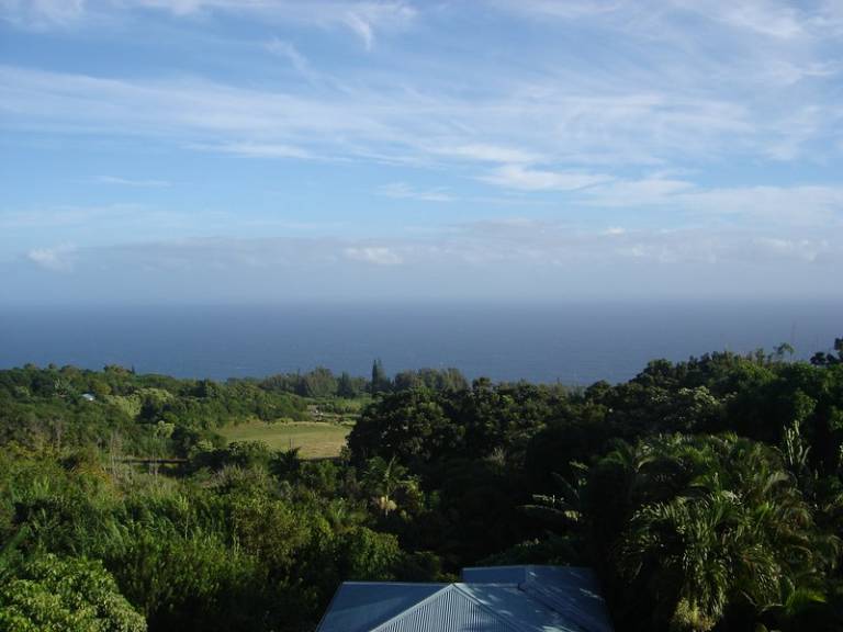 Honokaa, HI Vacation Rentals from 105 HomeToGo