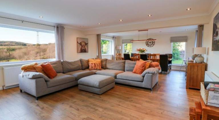 Pleasant house | Pets are welcome — photo 5