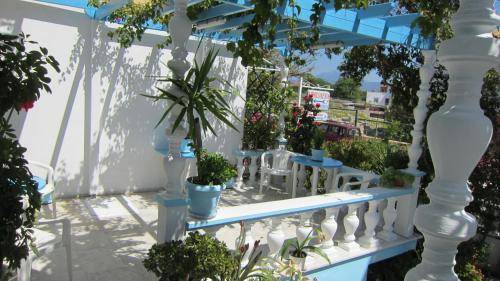 foto8
