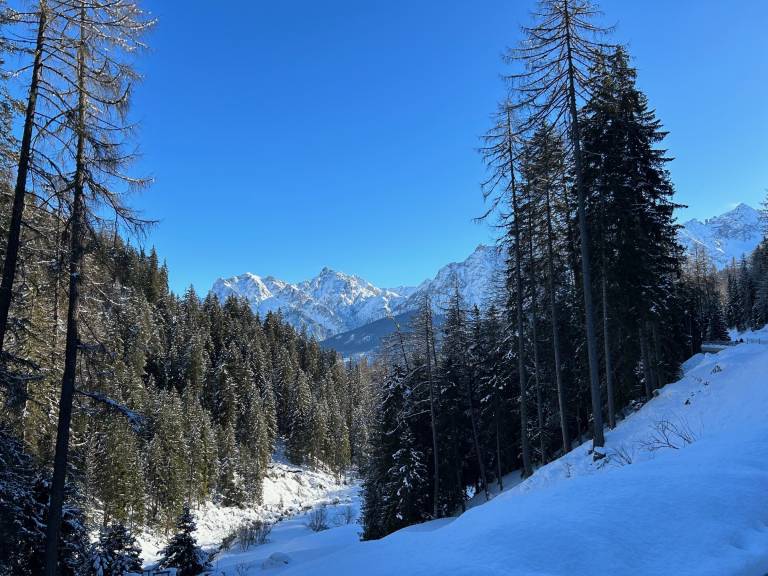 foto11