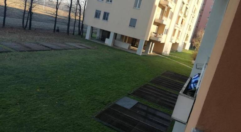 foto6