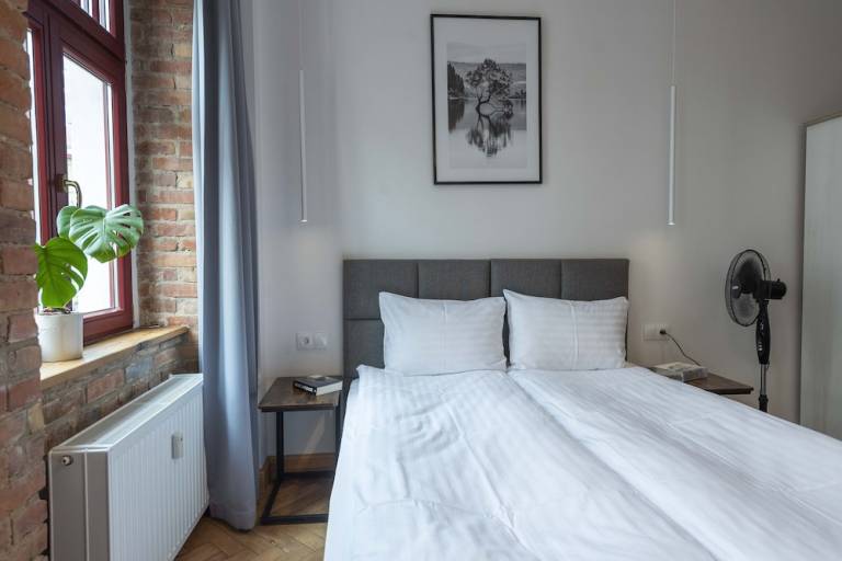 Apartment Stare Miasto