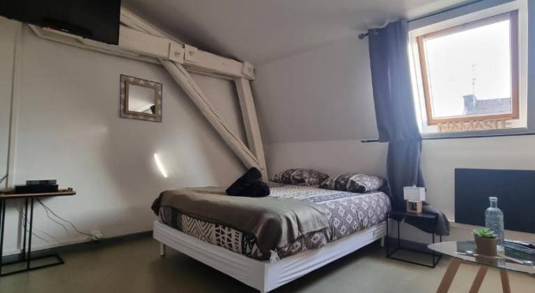 Holiday apartment with 1 room for 2 persons in Valenciennes