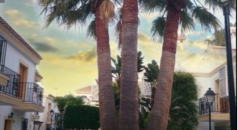 Charming rental apartment with pool | Beach nearby | Pet-friendly — photo 5