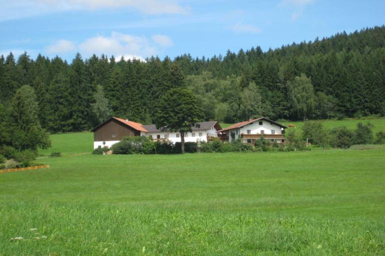 Ferienhaus Drachselsried