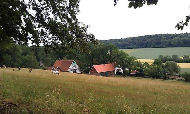 foto16