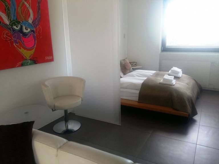 Apartma  Rejkjavik