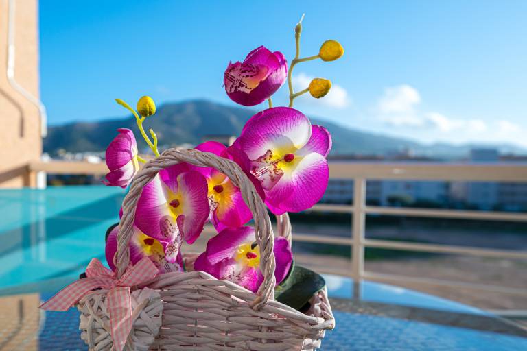 Fully equipped beautiful holiday apartment with pool, garden & fast internet | Mountain view | Dogs allowed — photo 3