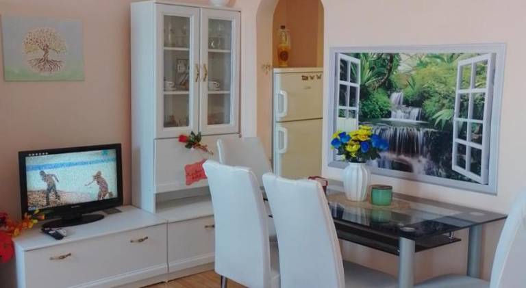 Apartment with terrace — photo 4