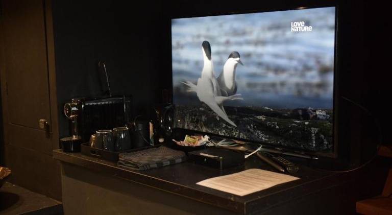 foto8