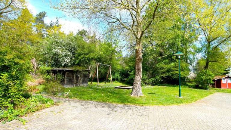 foto3