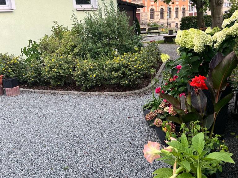 foto11