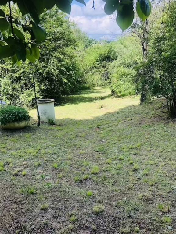 foto16