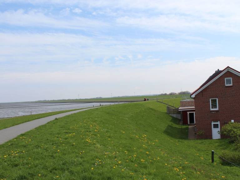Halligblick