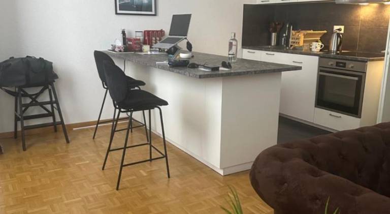 Wonderful holiday apartment | Next to Jet d'Eau | Pets allowed — photo 3